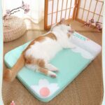 Cama-gato-Perro-Verano-Colchon-7-8 Cama gato Perro Verano Colchon 7 8