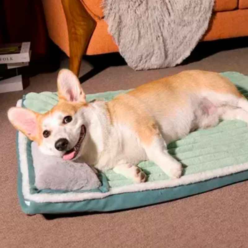 Colchonetas-Camas-Mascotas-Pequeñas-7-4 Colchonetas Camas Mascotas Pequenas 7 4