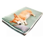 Colchonetas para Perros Pequeños Colchonetas para Perros Pequeños Hoopet son la opción ideal para brindar a tus compañeros peludos de tamaño pequeño el máximo confort durante su tiempo de descanso. Estas colchonetas están diseñadas pensando en la comodidad y el bienestar de tus mascotas, ofreciendo un lugar suave y acogedor