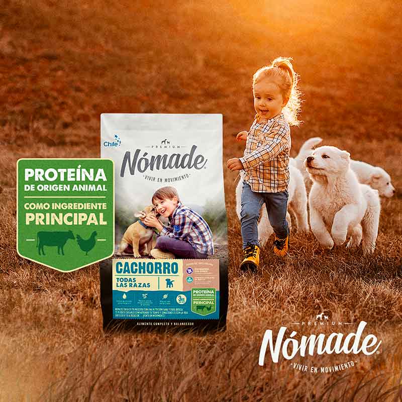NOMADE_Cachorro-7-6 NOMADE Cachorro 7 6