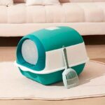 arenero-Cerrado--Filtro-Pala-7-3 arenero Cerrado Filtro Pala 7 3 1