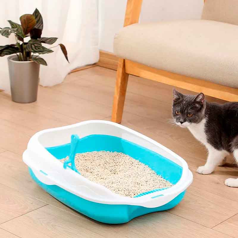 caja-Arena-Gatos-bierta-7-16 caja Arena Gatos bierta 7 16