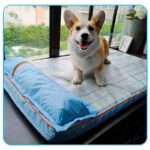 Colchón para perro con almohada Talla L Colchón para perro con almohada Talla L – Hoopet. Espuma de alta densidad, superficie suave y diseño ergonómico. Ideal para perros medianos y grandes. ¡Cómpralo en Animal Lovers Chile! Hoopet emerge como una solución innovadora para proporcionar a tu fiel compañero un lugar de descanso cómodo y acogedor. Diseñado con materiales de alta calidad y atención meticulosa a los detalles
