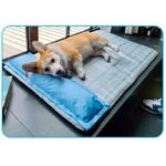 cama-colchon-verano-7-12 cama colchon verano 7 12