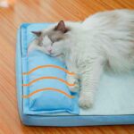 cama-colchon-verano-7-3 cama colchon verano 7 3