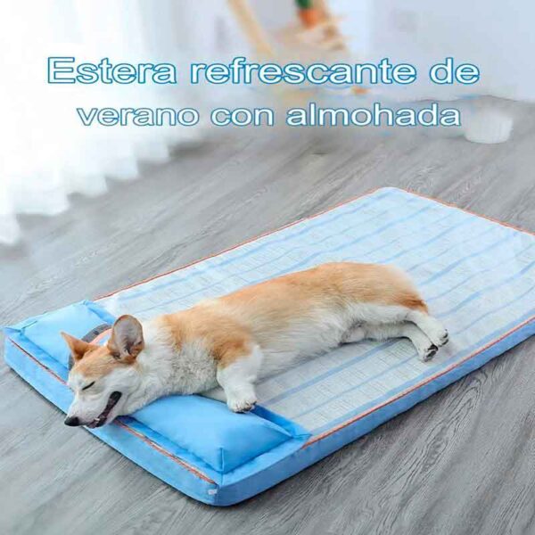 colchon verano almohada oxford 7 7