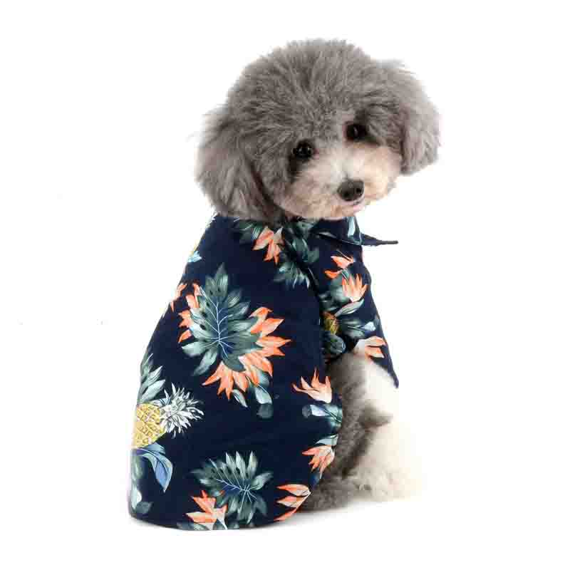 guayabera perro azul 2