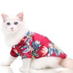 guayabera-perro-rojo-7-1 guayabera perro rojo 7 1