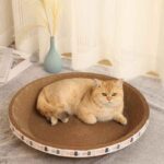 rascador Cama Circular Carton 7 6