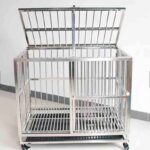 Jaula veterinaria S en acero inoxidable para uso veterinario y pos operatorio