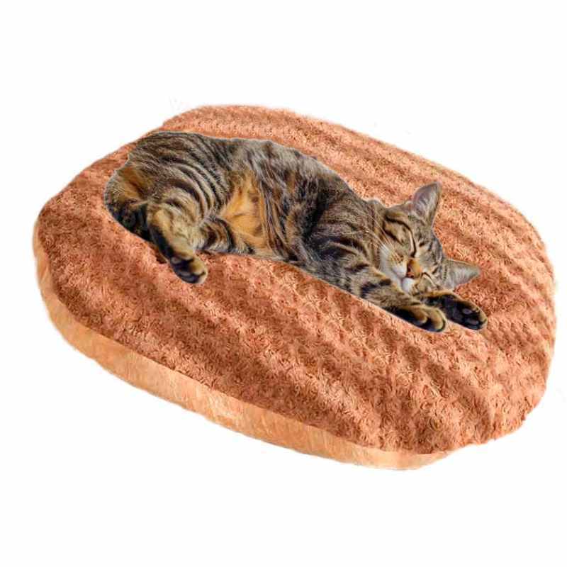 Camas-Pequeño-Cojín Camas Pequeno Cojin