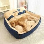 Camas-para-Mascotas-Piel Camas para Mascotas Piel