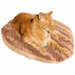 cojin-café-gato-rubio cojin cafe gato rubio