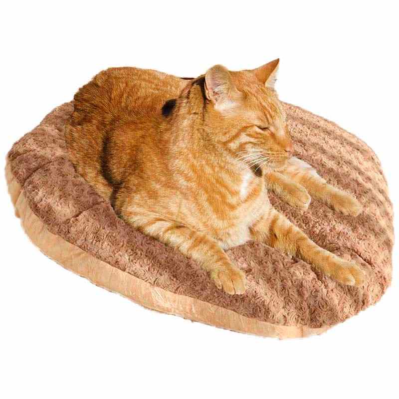 cojin-café-gato-rubio cojin cafe gato rubio