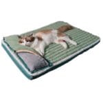 colchon-verde-cabecera-gato colchon verde cabecera gato