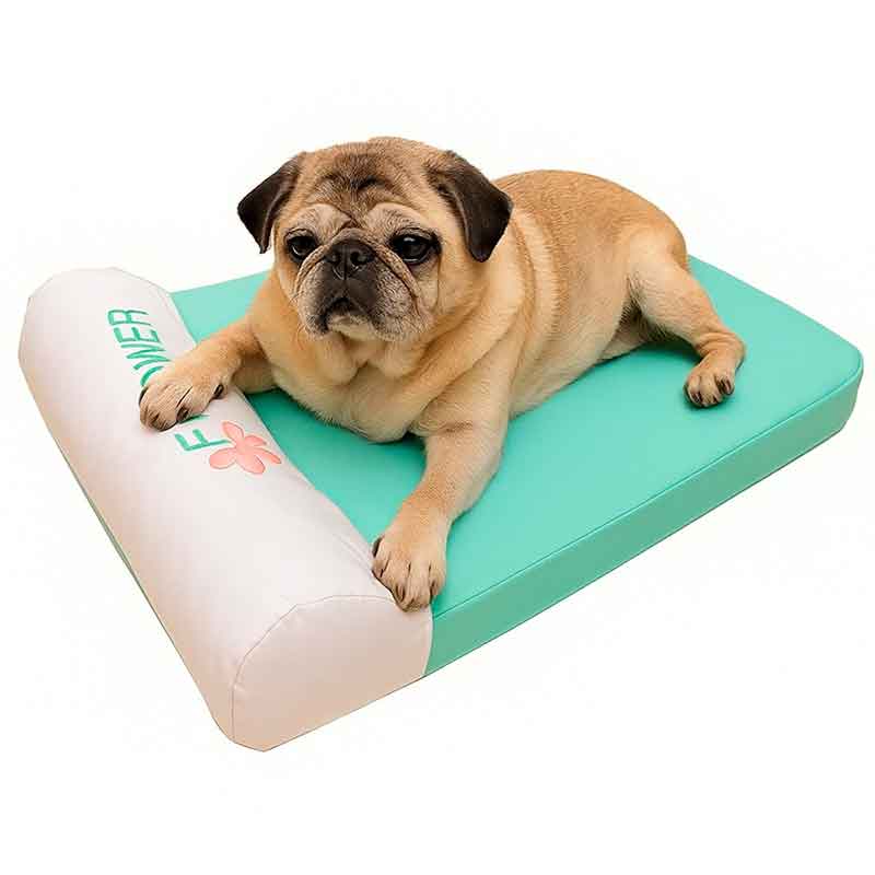 Camas_para_perros_geriátricos Camas para perros geriatricos