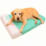 Camas_para_perros_geriatricos_1 Camas para perros geriatricos 1