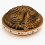 centro de juegos y rascador