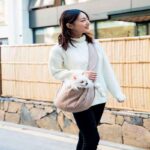 Bolso-para-Perro-Pequeno-4 Bolso para Perro Pequeno 4